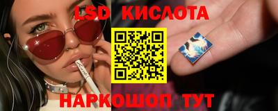 прущие грибы Бузулук