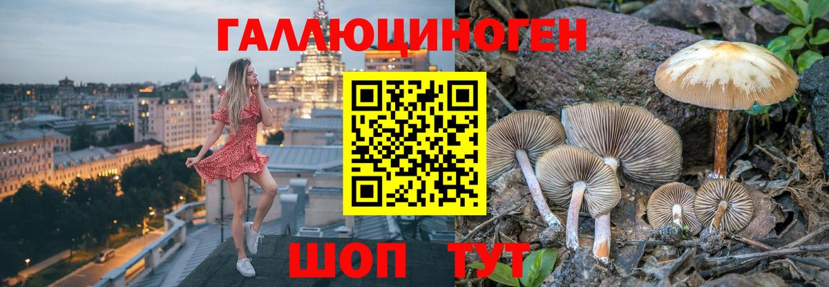 Серов  Галлюциногенные грибы Psilocybe  Вход с VPN 